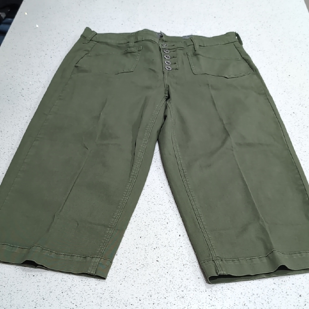 Torrid Deep Olive Button-Up Shorts